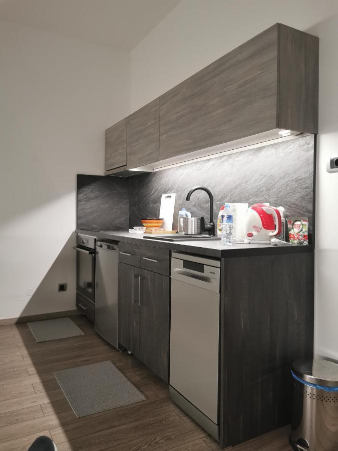 Apartman Pavlovic 1 Dedinje Kültér fotó